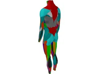 Surface Muscles Male 3D Model preview