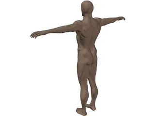 Man 3D Model preview