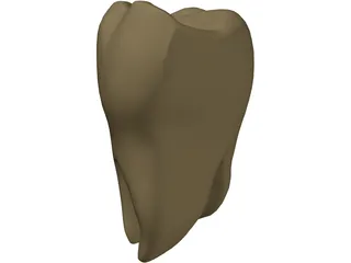 Molar 3D Model preview