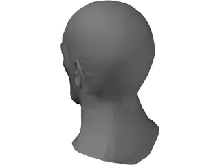 Head Male 3D Model preview