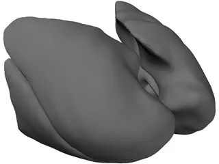 Lungs Human 3D Model preview
