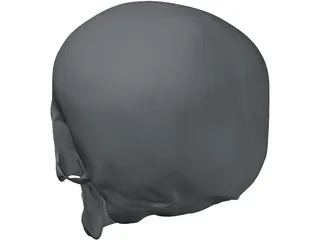 Skull 3D Model preview