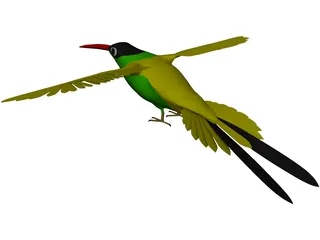 Hummingbird 3D Model preview