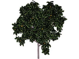 Zitronenbaum 3D Model preview