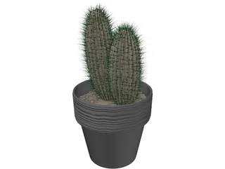 Cactus 3D Model preview