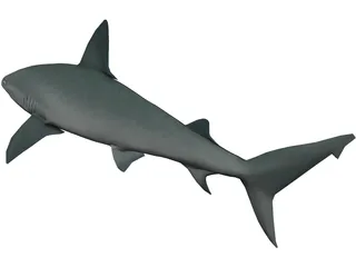 Sandbar Shark 3D Model preview