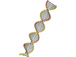 DNA Model 3D Model preview