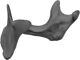 Edentulous Jaw 3D Model preview
