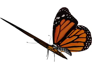 Butterfly 3D Model preview