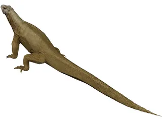 Komodo Dragon 3D Model preview