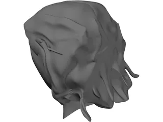 Head Messi 3D Model preview