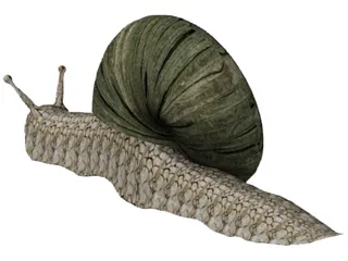 Snail 3D Model preview