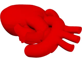 Heart Human 3D Model preview
