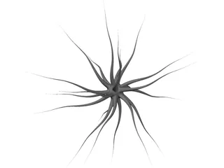 Neuron 3D Model preview