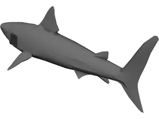 Shark Great White 3D Model preview