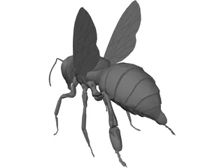 Bee 3D Model preview