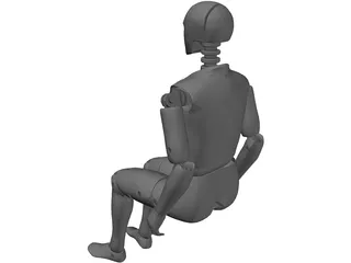 Crash Dummy 3D Model preview