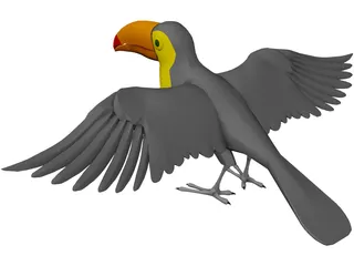 Toucan 3D Model preview