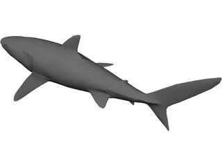 Blue Shark 3D Model preview