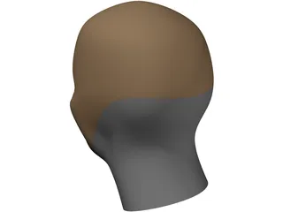 Head Human 3D Model preview