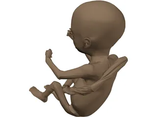 Fetus 3D Model preview