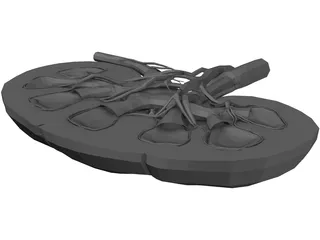 Kidney Interior 3D Model preview