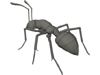 Ant 3D Model preview