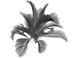 Chamaedorea Cataractum 3D Model preview