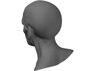 Man Head Old 3D Model preview