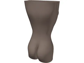 Women Body 3D Model preview