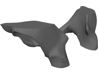 Pelvis 3D Model preview