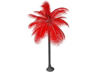 Palm Tree 3D Model preview
