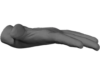 Open Hand 3D Model preview