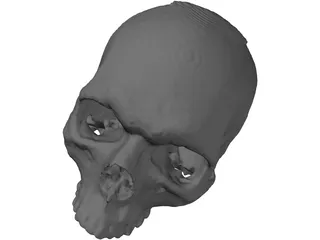 Skull 3D Model preview