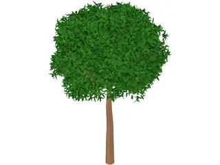 Willow 3D Model preview