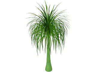 Palmera 3D Model preview