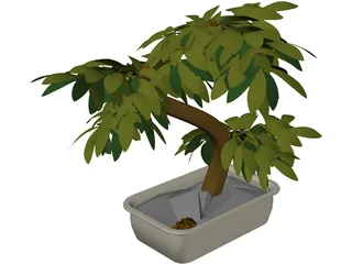 Small Tree 3D Model preview