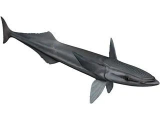 Remora 3D Model preview