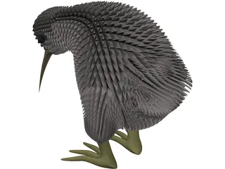 Kiwi Bird 3D Model preview