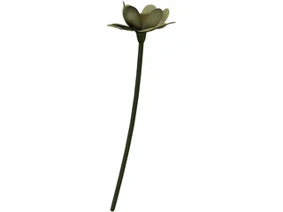 Lotus Flower (Nelumbo Lutea) 3D Model preview