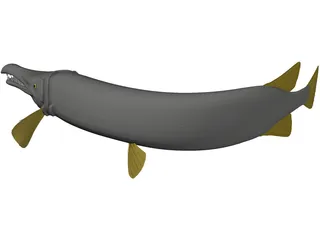 Alligator Gar (Atractosteus Spatula) 3D Model preview