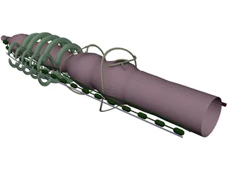 Earthworm 3D Model preview