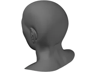 Samuel Head 3D Model preview