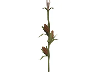 Corn Stalk 3D Model preview