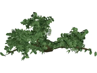 Tree 3D Model preview