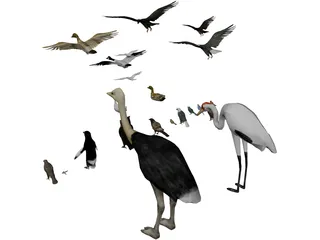 Birds Collection 3D Model preview