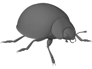 Ladybird 3D Model preview