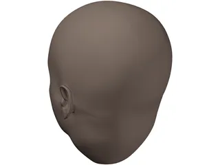 Human Head 3D Model preview