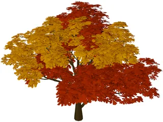 Chestnut Tree 3D Model preview