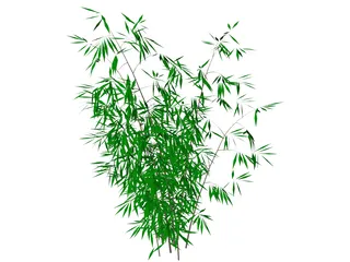 Bamboo 3D Model preview